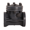 DN25 DN50 DN100 DN150 DN200 UPVC Non Return Valve Industrial Water Treatment One Way Plastic Check Valve
