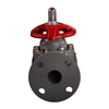 Hot Selling Corrosion-Resistant Manual Flange Ends Diaphragm Valve High Temperature CPVC Diaphragm Valve For Chemical