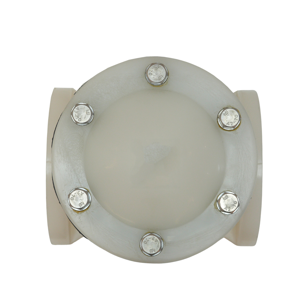 Manufacturer Supplies Acid Resistant PVDF Industrial Check Valve Plastic Non-Return Swing Type Check Valve