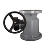 Hot Sale Plastic Manual Industrial Ball Valve Dn15-Dn300 Corrosion Resistance Cpvc Flanged Type Turbine Ball Valve