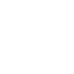 Borrett Group Logo