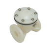 Manufacturer Supplies Acid Resistant PVDF Industrial Check Valve Plastic Non-Return Swing Type Check Valve