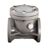 CPVC Heat Resistant Flange Swing Check Valve Plastic Corrosion Resistant Chemical One Way Non Return Valve