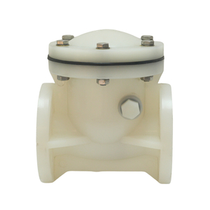 Manufacturer Supplies Acid Resistant PVDF Industrial Check Valve Plastic Non-Return Swing Type Check Valve