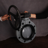Hot Sale DIN ANSI JIS Standard CPVC Butterfly Valve Plastic Worm Gear Type Butterfly Valve For Chemical Industry