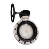 Dn125 Dn150 Dn 200 Dn 300 Dn 600 PVDF Turbine Valve Worm Gear Actuator Butterfly Valve High Temperatureacid Corrosion Resistant