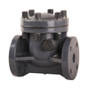 DN25 DN50 DN100 DN150 DN200 UPVC Non Return Valve Industrial Water Treatment One Way Plastic Check Valve